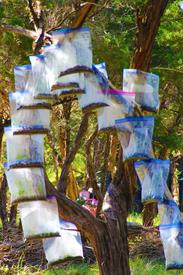 Austin Texas Artist